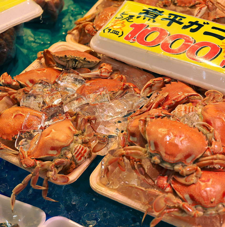 Discover Japan’s Fermentation Arts