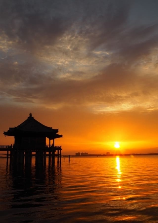 Journey Through Japan’s Rice Culture