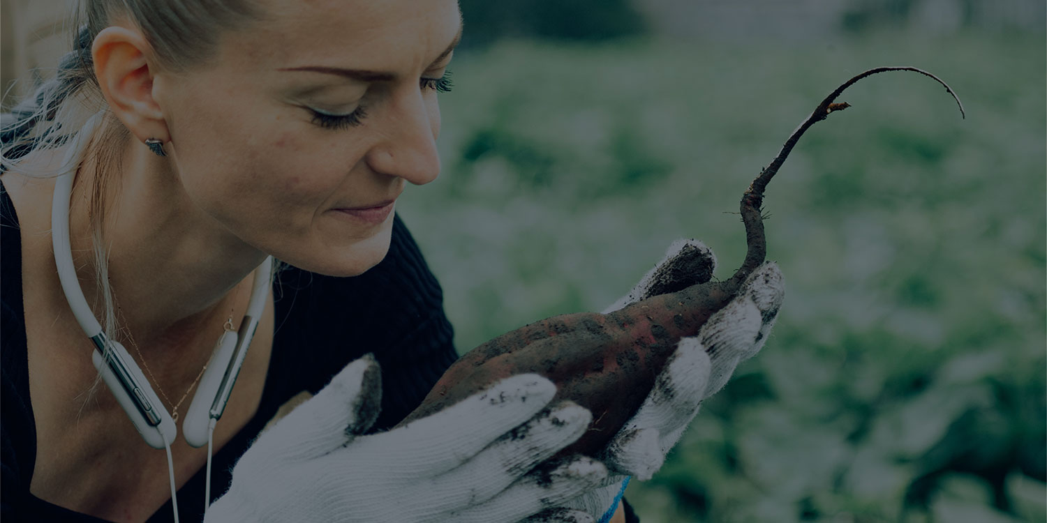 From Soil to Soul: Usuki’s Flavors