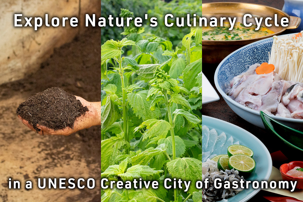 A Gastronomic Tour Exploring the Cycle of Nature and Food, Rooted in Soil Cultivation, in Usuki City, a UNESCO Creative City of Gastronomy [2-day, 1-night package]